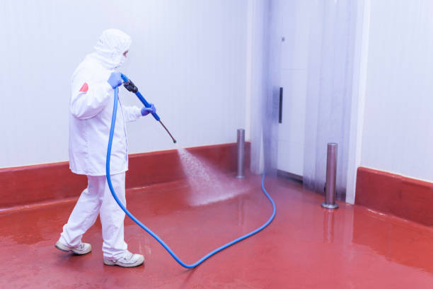 Best Solar Panel Cleaning  in Polk City, FL