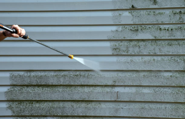 Best Gutter Cleaning  in Polk City, FL